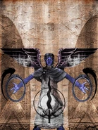 Entrance door texture