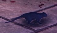 Nosgoth-Animals-Rat