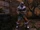 Nosgoth-Beastmaster-Stance-Druid'sHood-Hunter'sShotgun.jpg