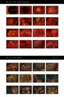 Gallery-full54