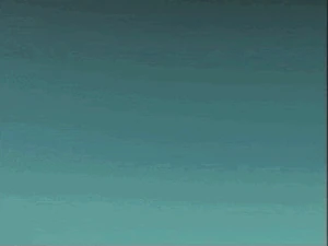 Cinematic: Bat Form (Vorador's Mansion)