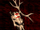 BO1-Icon-Quest-BaneAntlerHeaddress.png
