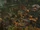 Nosgoth-Location-Provance-Shots-019-Above.jpg