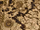 BO2-Texture-LC-Map2.png