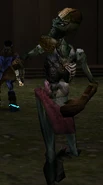 Sorcerer Thrall in game