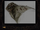 Defiance-BonusMaterial-CharacterArt-Concepts-05-Turel.png