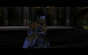 Cutscene: The Elder's Warning