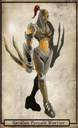 "Sarafan_Female_Warrior"
