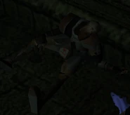 SR2-DemonHunter-UmaskedCorpse.png (89 KB) unmasked Demon Hunter corpse