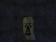 Kain stands before a glowing Blood Omen 2 door