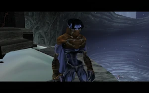 Cutscene: The Tenth Guardian