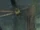 Nosgoth-Animals-Flies.jpg