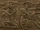 SR1-Texture-StoneGlyphMural.png