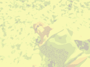 Cinematic: Nuremburg