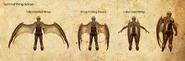 Nosgoth-Character-Sentinel-WingActionDetails-Full.jpg (1.48 MB)