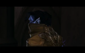 Cutscene: The Tenth Guardian