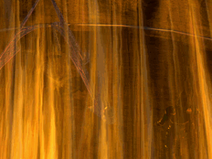 Cinematic: The Oracle