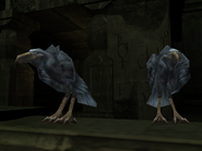 SR2-Animals-Crows