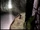 Soulreaver01.jpg