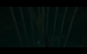 Cutscene: The Elder's Warning