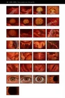 Gallery-full53