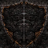 The texture of the shield