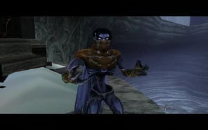 Cutscene: The Tenth Guardian