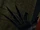 BO2-Claws-Marcus.png