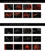 Gallery-full55.jpg (308 KB) "gallery-full55"