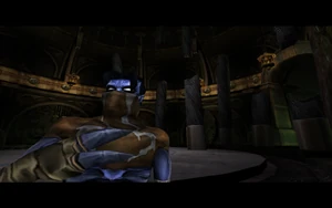 Cutscene: Raziel Defies the Elder