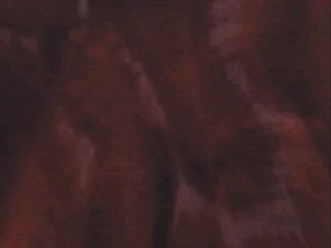 Cinematic: Bat Form (Dark Eden)