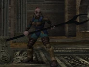 A Vampire Hunter Mercenary in game