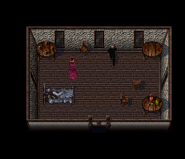 BO1-Map0003-Sect15-Nachtholm-SWHouse.png (54 KB) The interior of the southwestern house