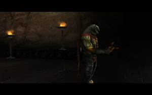 Cutscene: The Ruined Aerie