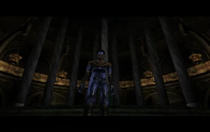 Cutscene: The Elder's Warning