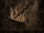 SR1-Texture-DrownedAbbey-FireForgeMural.png