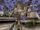 BO2-Misc-Sirens-Official-garden2.jpg