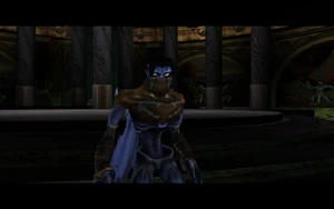 Cutscene: The Elder's Warning