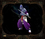 Sarafan Crusaders in Bonus materials