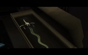 Cutscene: The Tenth Guardian