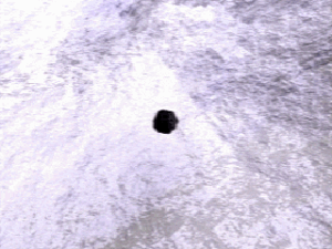 Cinematic: Bat Form (The Oracle's Cave)