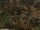 Nosgoth-Location-Provance-Shots-002-Above.jpg