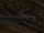 Crossbows (Blood Omen 2)