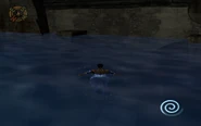 Raziel swimming at the surface (SR2)