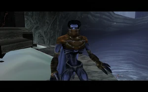 Cutscene: The Tenth Guardian