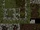 Grp00020 alpha.png