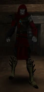 'Red Hood' attire with Nexus Stone
