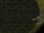 Grp00041.png