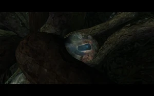 Cutscene: Raziel Defies the Elder