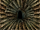 Defiance-Texture-Avernus-Catacombs-Spines.png